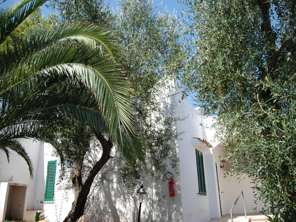 Althea Village Residence Vieste Rom bilde